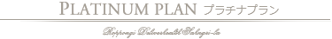 プラチナプラン